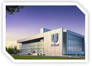 ˷Ϸ187pt(й)Ψһٷվ